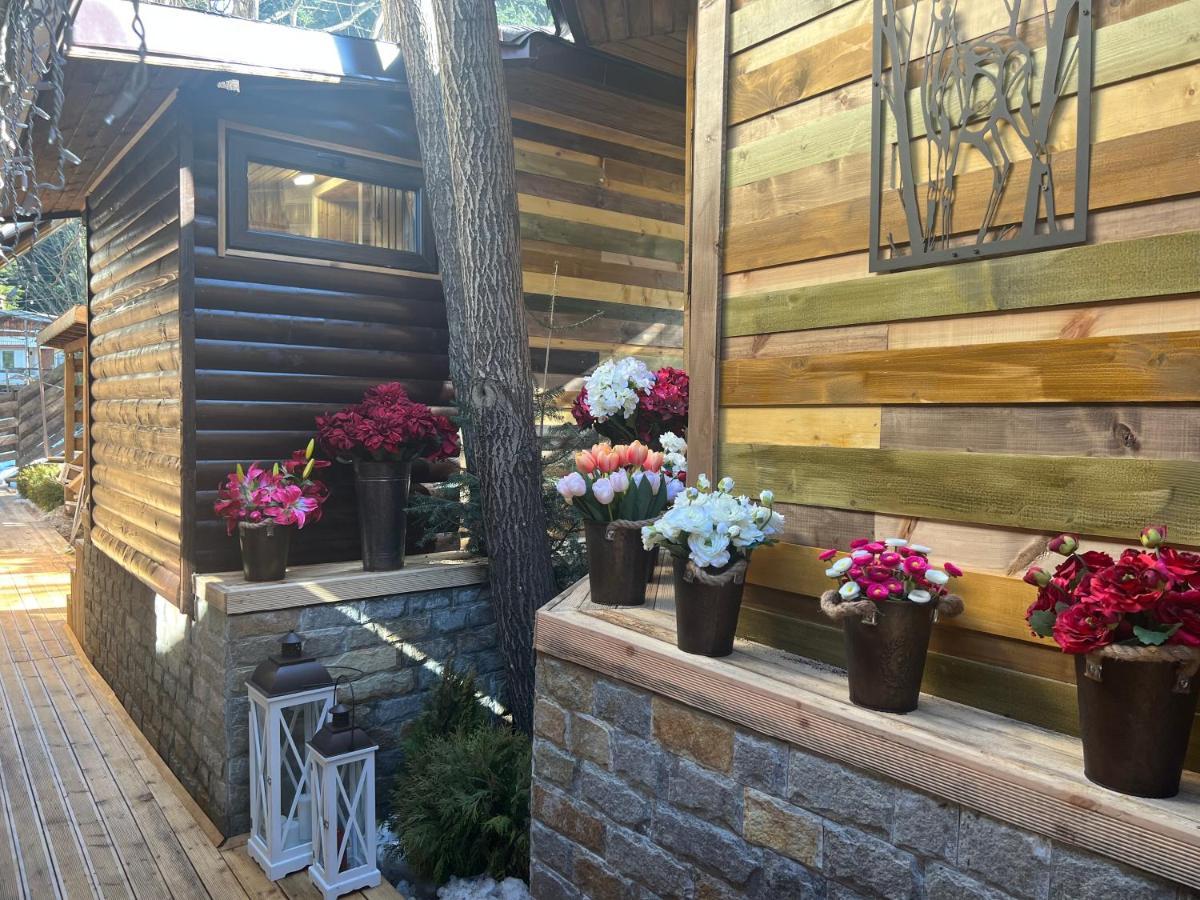 Moura & Villas Borovets Mountain Relax Spa Hotel Exterior foto